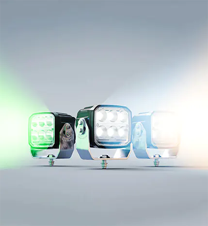 Harness the Power of LEDs: Enhance Well-being and Productivity Through Lighting